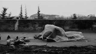 带火的女孩名字(带火的女孩名字有哪些)