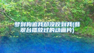 梦到狗追我却没咬到我(翡翠台播放过的动画片)
