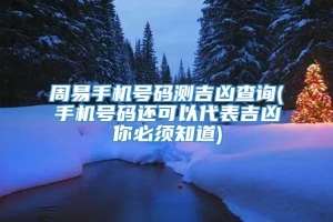 周易手机号码测吉凶查询(手机号码还可以代表吉凶你必须知道)