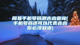 周易手机号码测吉凶查询(手机号码还可以代表吉凶你必须知道)