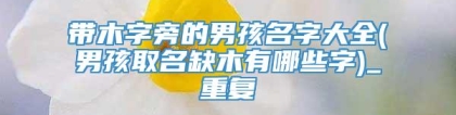 带木字旁的男孩名字大全(男孩取名缺木有哪些字)_重复
