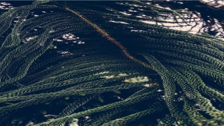 测试婚姻是否需要离婚(结婚容易离婚难)