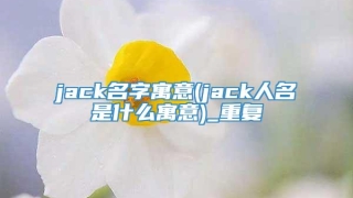 jack名字寓意(jack人名是什么寓意)_重复