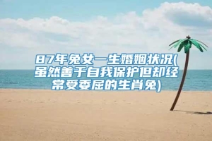 87年兔女一生婚姻状况(虽然善于自我保护但却经常受委屈的生肖兔)