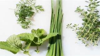 耳屎在鼓膜上多久会掉(宝宝掏耳朵耳鼓膜破了)