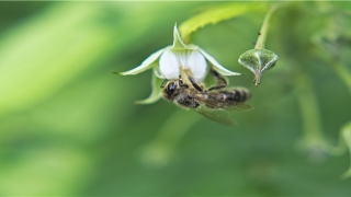 老梦见一个人(梦见的意思)