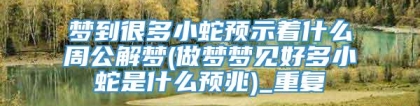 梦到很多小蛇预示着什么周公解梦(做梦梦见好多小蛇是什么预兆)_重复