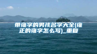 带雍字的男孩名字大全(雍正的雍字怎么写)_重复