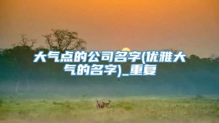 大气点的公司名字(优雅大气的名字)_重复