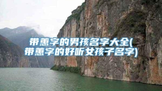 带蕙字的男孩名字大全(带蕙字的好听女孩子名字)