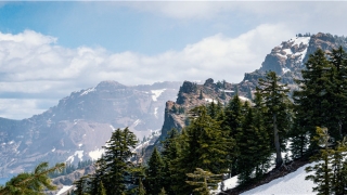 八字测试自己是否适合创业(从生辰八字命理分析你的事业)