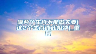 哪两个生肖不能做夫妻(这2个生肖彼此相冲)_重复