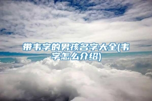 带韦字的男孩名字大全(韦字怎么介绍)