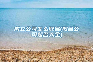 成立公司怎么取名(取名公司起名大全)