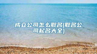 成立公司怎么取名(取名公司起名大全)