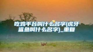 吃鸡平台叫什么名字(虎牙鲨鱼叫什么名字)_重复