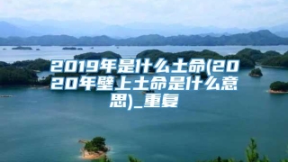 2019年是什么土命(2020年壁上土命是什么意思)_重复
