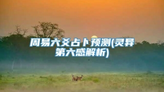 周易六爻占卜预测(灵异第六感解析)