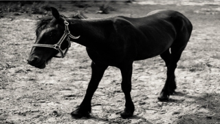按生辰八字免费取名字大全女孩(少女风十足的宝藏女孩名)