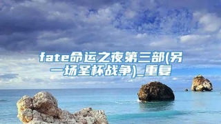 fate命运之夜第三部(另一场圣杯战争)_重复