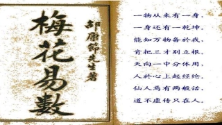 邵 梅花易数(邵雍梅花易数)