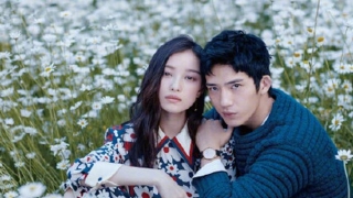 八字比劫旺要低调(倪妮井柏然分手皆有定数)