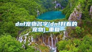 dnf宠物名字(dnf好看的宠物)_重复