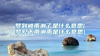 梦到被雨淋了是什么意思(梦见下雨淋雨是什么意思)