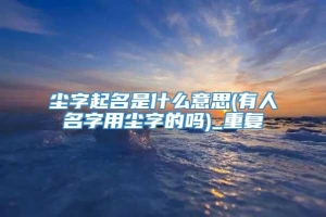 尘字起名是什么意思(有人名字用尘字的吗)_重复