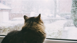 男人事业线分叉20种图解(事业线怎么看)