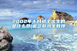 2002年十月初十出生的是什么命(追念蔡鸿生教授)