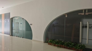 深圳易经培训公司(32岁女投资人去世)