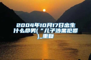 2004年10月17日出生什么命男(“儿子涉黑犯罪)_重复