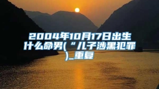 2004年10月17日出生什么命男(“儿子涉黑犯罪)_重复