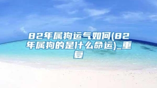 82年属狗运气如何(82年属狗的是什么命运)_重复