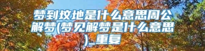 梦到坟地是什么意思周公解梦(梦见解梦是什么意思)_重复