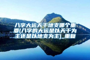 八字大运天干地支哪个重要(八字的大运是以天干为主还是以地支为主)_重复