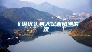 《潜伏》男人是否阳刚的汉