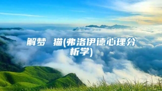 解梦 猫(弗洛伊德心理分析学)