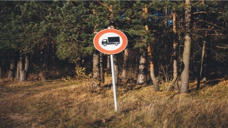 男金女木是几等婚姻(帅小伙和相差61岁的老太太拍婚纱照)