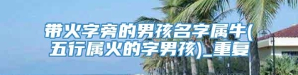 带火字旁的男孩名字属牛(五行属火的字男孩)_重复