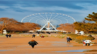 梦到落水什么预兆(梦到自己落水什么预兆)