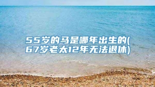 55岁的马是哪年出生的(67岁老太12年无法退休)
