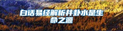 白话易经解析井卦水是生命之源