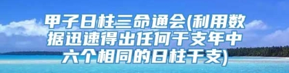 甲子日柱三命通会(利用数据迅速得出任何干支年中六个相同的日柱干支)