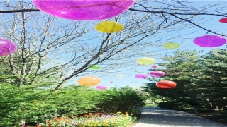 32属啥的(32属什么的32岁属啥的)_重复