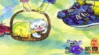 大运遇正官好吗(大运正官代表什么)