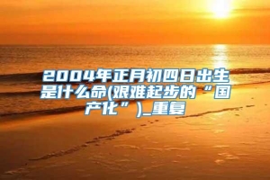 2004年正月初四日出生是什么命(艰难起步的“国产化”)_重复