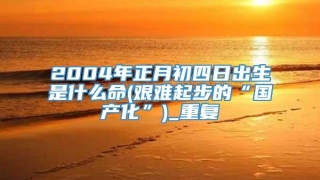 2004年正月初四日出生是什么命(艰难起步的“国产化”)_重复
