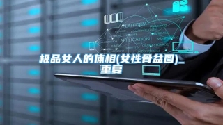 极品女人的体相(女性骨盆图)_重复